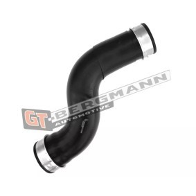 Compre Tubo flexível do ar de sobrealimentação da GT-BERGMANN GT52-366 a um preço baixo por 65,05 €