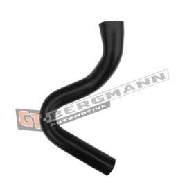 Compre Tubo flexível do ar de sobrealimentação da GT-BERGMANN GT52-414 a um preço baixo por 30,04 €