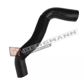 Compre Tubo flexível do ar de sobrealimentação da GT-BERGMANN GT52-484 a um preço baixo por 29,13 €