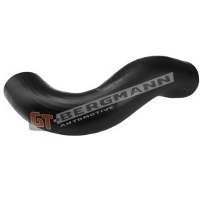 Osta Ahdinletku GT-BERGMANN:llä GT52-510 edullisesti hintaan 25,97 €