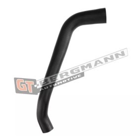 Compre Tubo flexível do ar de sobrealimentação da GT-BERGMANN GT52-548 a um preço baixo por 32,98 €