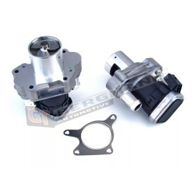Compre Válvula EGR da GT-BERGMANN GT55-034 a um preço baixo por 183,09 €