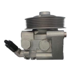 Compre Bomba de direção da SPIDAN 52868 a um preço baixo por 374,52 €
