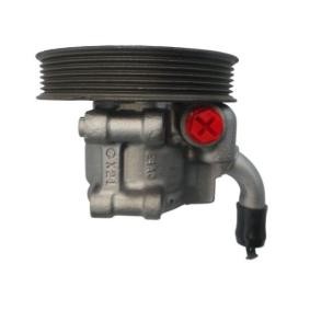 Compre Bomba de direção da SPIDAN 52871 a um preço baixo por 307,18 €