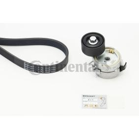 Achetez des Kit de courroie d'accessoire de chez CONTITECH en ligne pour 2008 II (U, UD, US, UY, UJ, UR, UC) à prix modérés