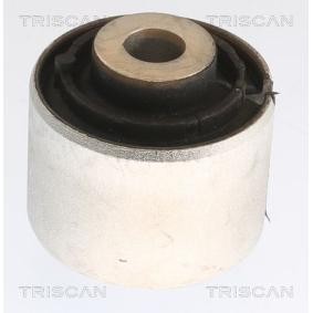Compre Suspensão, braço oscilante da TRISCAN 8500 238032 a um preço baixo por 16,53 €