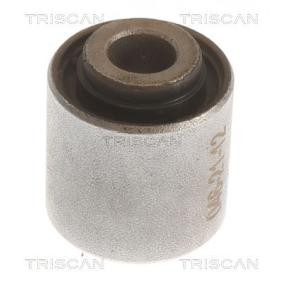 Acquista Supporto braccio oscillante da TRISCAN 8500 68805 a buon mercato per soli 27,07 €