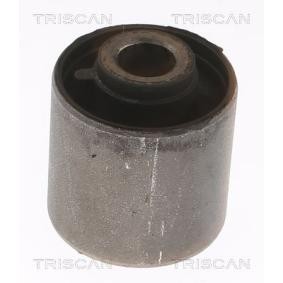 Acquista Supporto braccio oscillante da TRISCAN 8500 68811 a buon mercato per soli 23,60 €