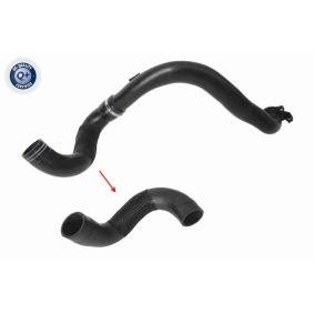Compre Tubo flexível do ar de sobrealimentação da VAICO V24-1177 a um preço baixo por 42,10 €