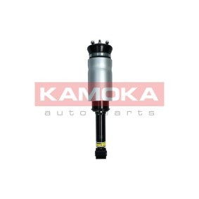 Luftfederbein 2070019 von KAMOKA günstig für 374,35 € online kaufen
