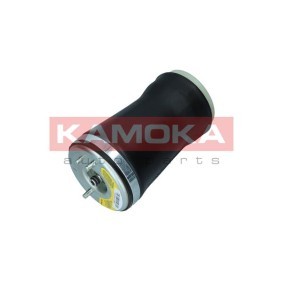 Compre Mola pneumática da KAMOKA 2079021 a um preço baixo por 116,55 €