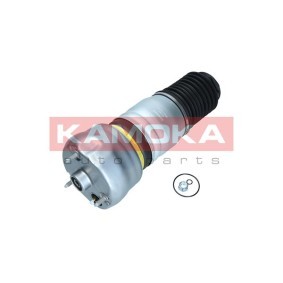 Compre Mola pneumática da KAMOKA 2079063 a um preço baixo por 423,64 €