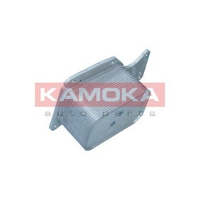 Compre Enfriador de aceite de KAMOKA online para 5 Touring (G31) a precios moderados