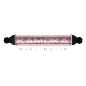 Compre Intercooler da KAMOKA 7750092 a um preço baixo por 126,12 €