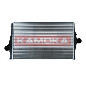 Comprar Intercooler de KAMOKA 7750096 a bajo precio de 138,46 €