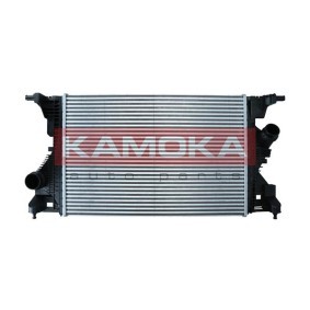 Acquista Intercooler da KAMOKA online per Classe A Sedan (W177) a prezzi moderati