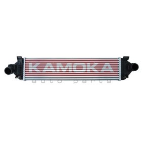 Acquista Intercooler da KAMOKA 7750135 a buon mercato per soli 92,08 €