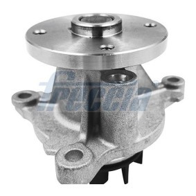 Achetez des Pompe à eau de chez FRECCIA en ligne pour PORTER Camion plate-forme/Châssis à prix modérés