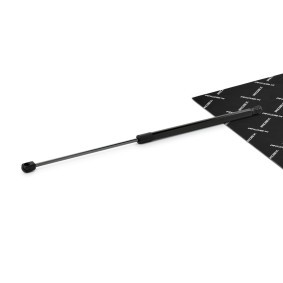 Acquista Ammortizzatore pneumatico cofano motore da RIDEX 514G0206 a buon mercato per soli 13,81 €