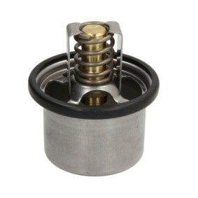Compre Termóstato, líquido de refrigeração da LEMA 585091 a um preço baixo por 34,65 €