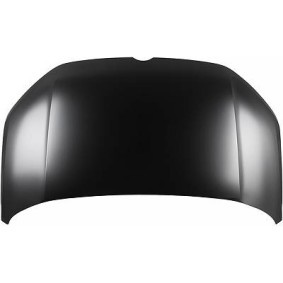 Comprar Capó de DIEDERICHS 2298600 a bajo precio de 335,74 €