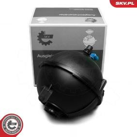 Acquista Vaschetta acqua radiatore da ESEN SKV online per X3 (F25) a prezzi moderati