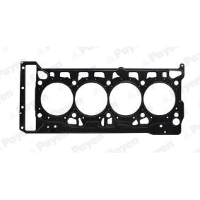 Acquista Guarnizione testata da PAYEN AH8110 a buon mercato per soli 34,86 €