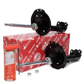 Achetez des Amortisseur MASTER-SPORT 16K001751P à prix pour 113,48 €