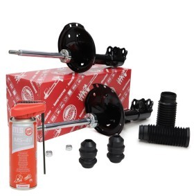 Achetez des Amortisseur MASTER-SPORT 16K001753P à prix pour 129,49 €