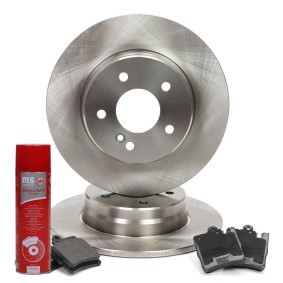Acquista Kit dischi e pastiglie da MASTER-SPORT 201002170P a buon mercato per soli 70,29 €