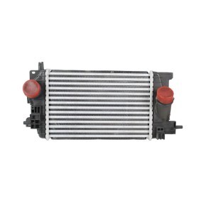 Acquista Intercooler da ABAKUS online per Meriva B (S10) a prezzi moderati