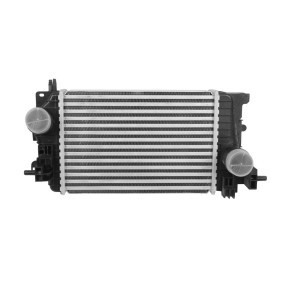 Acquista Intercooler da ABAKUS online per Meriva B (S10) a prezzi moderati