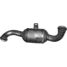 Katalysator 99.122 von POLMO günstig für 268,83 € online kaufen