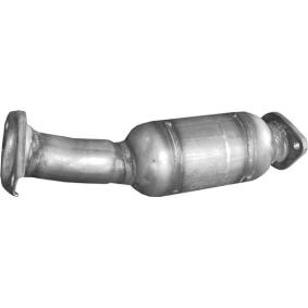 Katalysator 99.251 von POLMO günstig für 240,52 € online kaufen