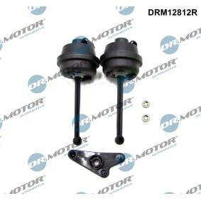 Acquista Guarnizione collettore aspirazione da DR.MOTOR AUTOMOTIVE online per Classe S Coupe (C216) a prezzi moderati