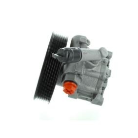Servopumpe GKNY10069 von SPIDAN günstig für 383,83 € online kaufen