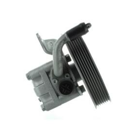 Compre Bomba de direção da SPIDAN GKNY10133 a um preço baixo por 446,08 €