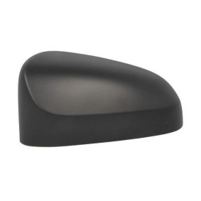 Compre Revestimento, retrovisor exterior da BLIC 6103-19-2539310P a um preço baixo por 26,27 €
