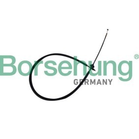 Comprar Cable del capó del motor de Borsehung B10778 a bajo precio de 14,55 €