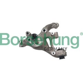 Compre Manga de eixo, suspensão da Borsehung B12116 a um preço baixo por 216,98 €