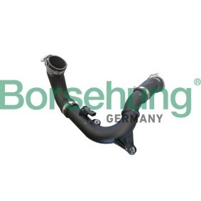 Compre Tubo flexível do ar de sobrealimentação da Borsehung B12347 a um preço baixo por 288,57 €