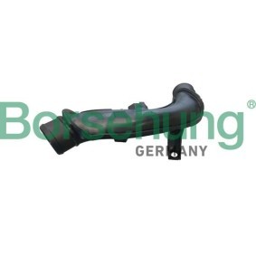 Compre Tubo flexível do ar de sobrealimentação da Borsehung B12349 a um preço baixo por 45,71 €