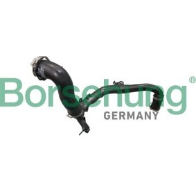 Compre Tubo flexível do ar de sobrealimentação da Borsehung B12352 a um preço baixo por 270,35 €