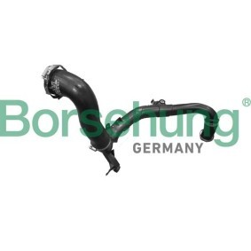 Compre Tubo flexível do ar de sobrealimentação da Borsehung B12353 a um preço baixo por 272,56 €