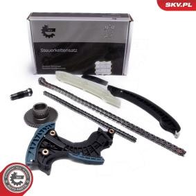 Compre Kit de distribuição da ESEN SKV 21SKV267 a um preço baixo por 285,31 €