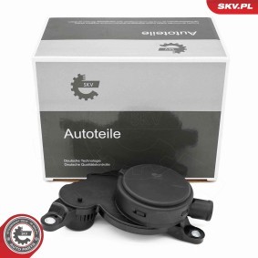 Compre Tubo flexível do radiador da ESEN SKV 31SKV428 a um preço baixo por 27,34 €