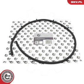 Acquista Flessibile, Carburante perso da ESEN SKV 54SKV347 a buon mercato per soli 23,77 €