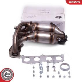Compre Catalizador de ESEN SKV online para AVENSIS (T25_) a precios moderados