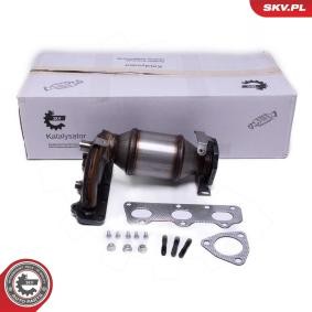 Compre Catalisador da ESEN SKV 62SKV026 a um preço baixo por 212,02 €