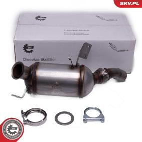 Comprar Filtro de partículas de ESEN SKV 62SKV520 a bajo precio de 460,21 €
